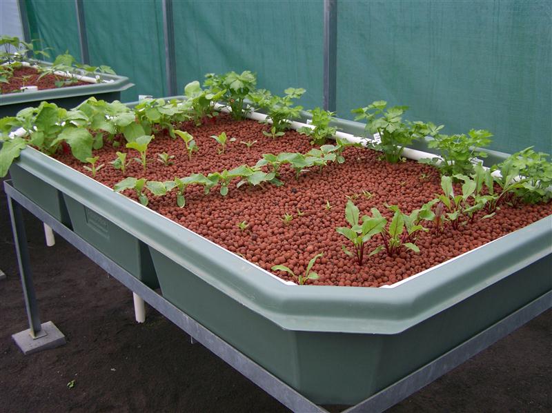 100_5559 (Custom).JPG