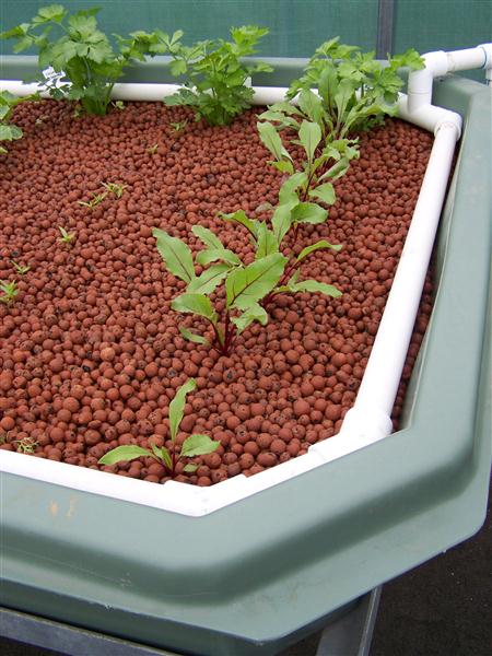 100_5560 (Custom).JPG