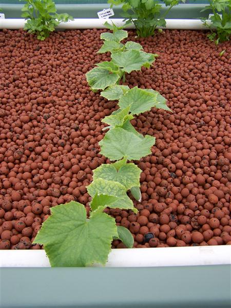 100_5561 (Custom).JPG