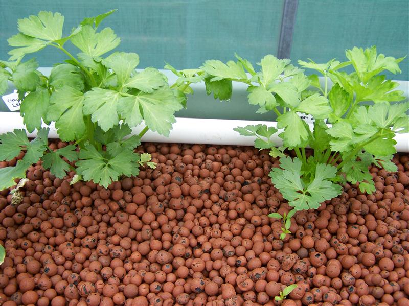 100_5562 (Custom).JPG