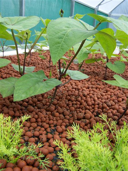 100_5572 (Custom).JPG