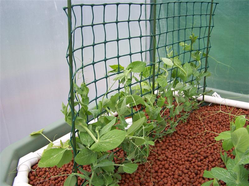 100_5571 (Custom).JPG