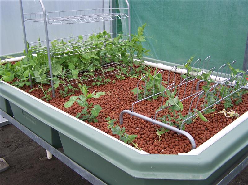 100_5567 (Custom).JPG