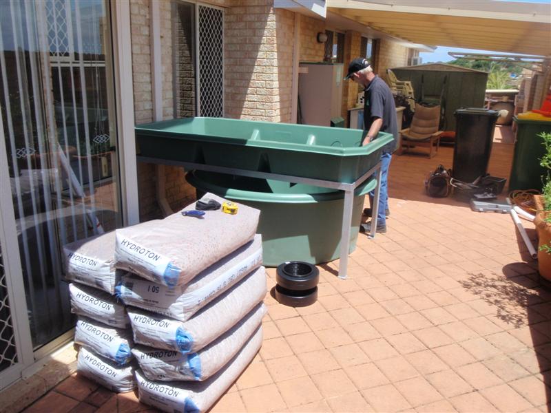 PB050444 (Medium).JPG