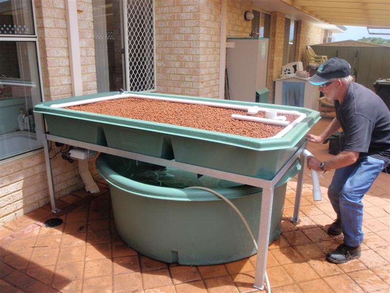 PB050446 (Medium).JPG