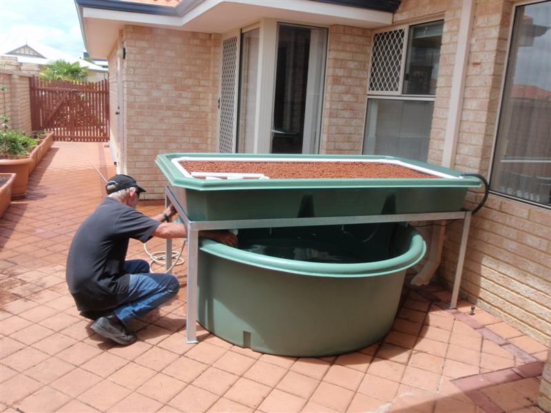 PB050445 (Medium).JPG