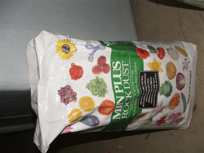 DSCF3774 (Medium).JPG