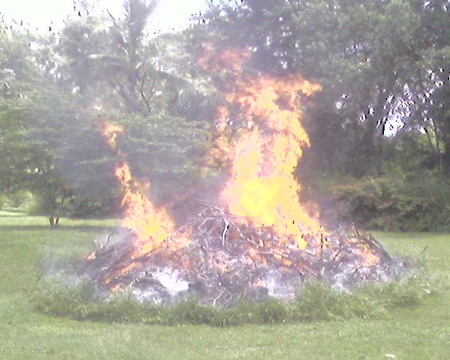 happy birthday Steve.jpg