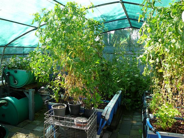 P1040464 (Small).JPG