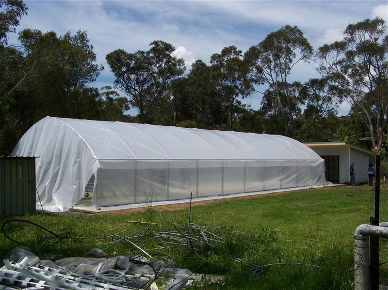 100_5581 (Custom).JPG