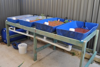 DSC_1558 - Version 2.jpeg