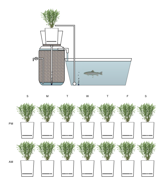 Rendezvous Simple System.jpg