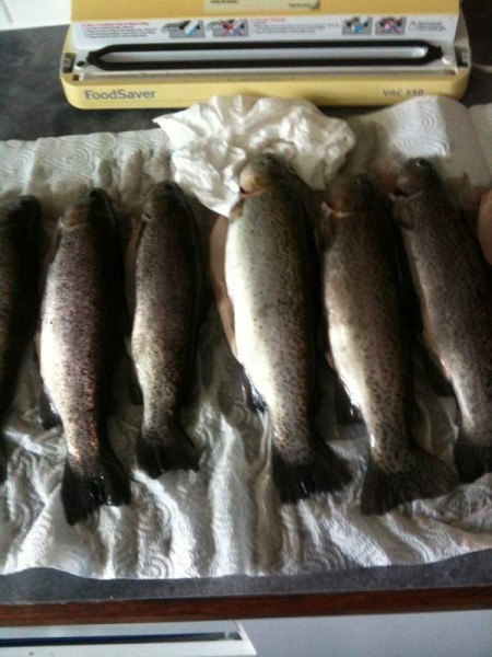 IMG_1122 (450 x 600).jpg