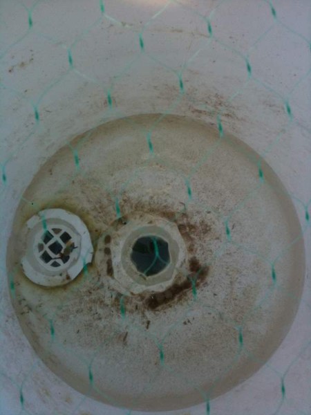 IMG_1091 (450 x 600).jpg