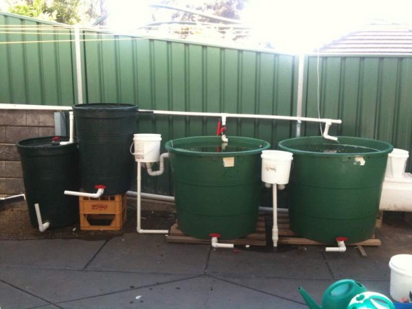 IMG_1136 (600 x 450).jpg