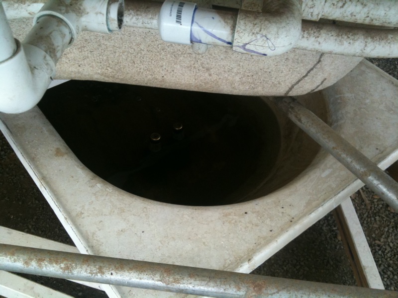 Homebrew in sump.jpg