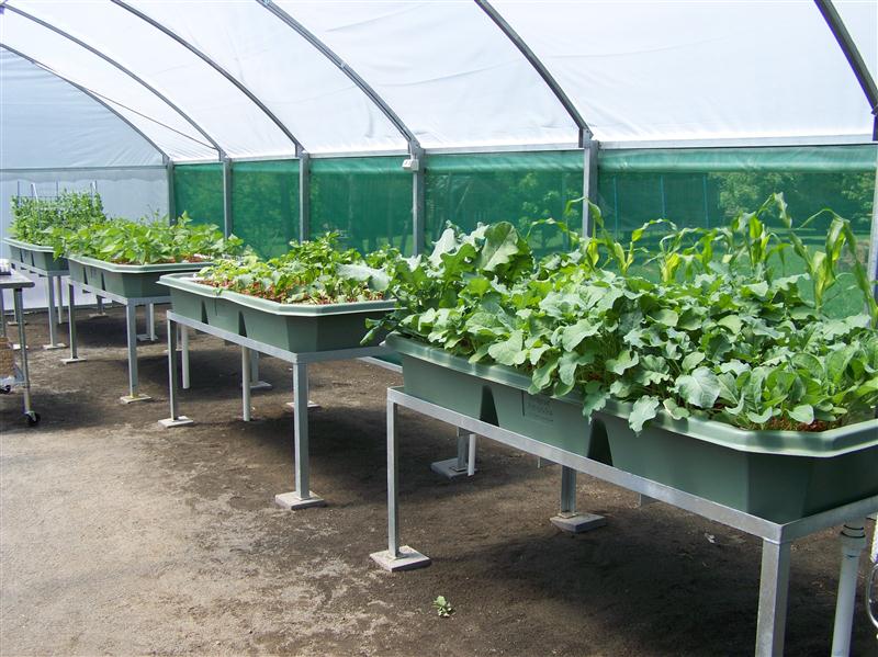 100_5599 (Custom).JPG