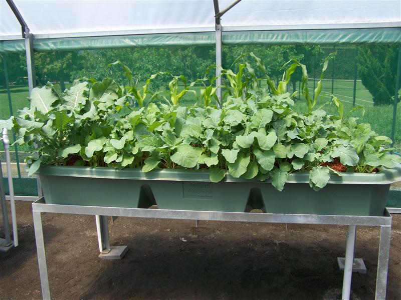 100_5595 (Custom).JPG