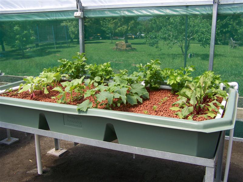 100_5596 (Custom).JPG