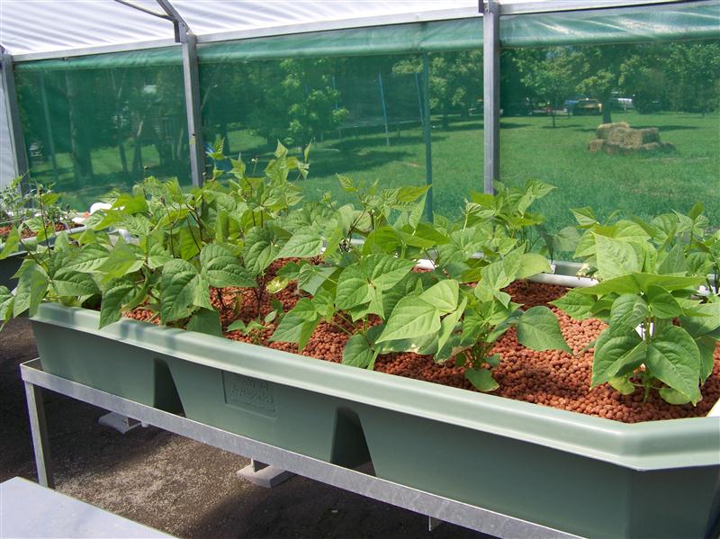 100_5597 (Custom).JPG