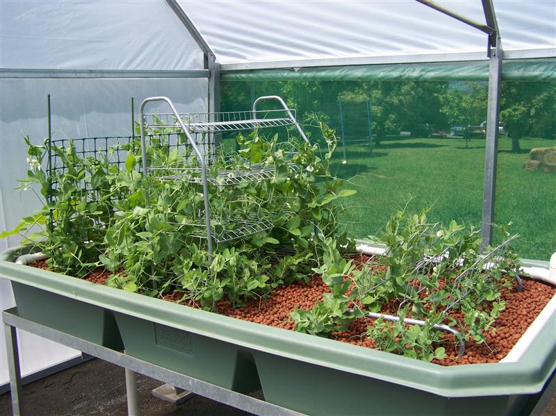 100_5598 (Custom).JPG