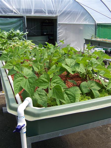 100_5602 (Custom).JPG