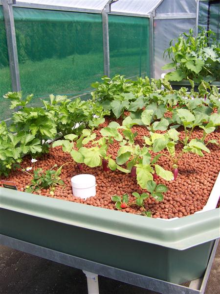 100_5603 (Custom).JPG