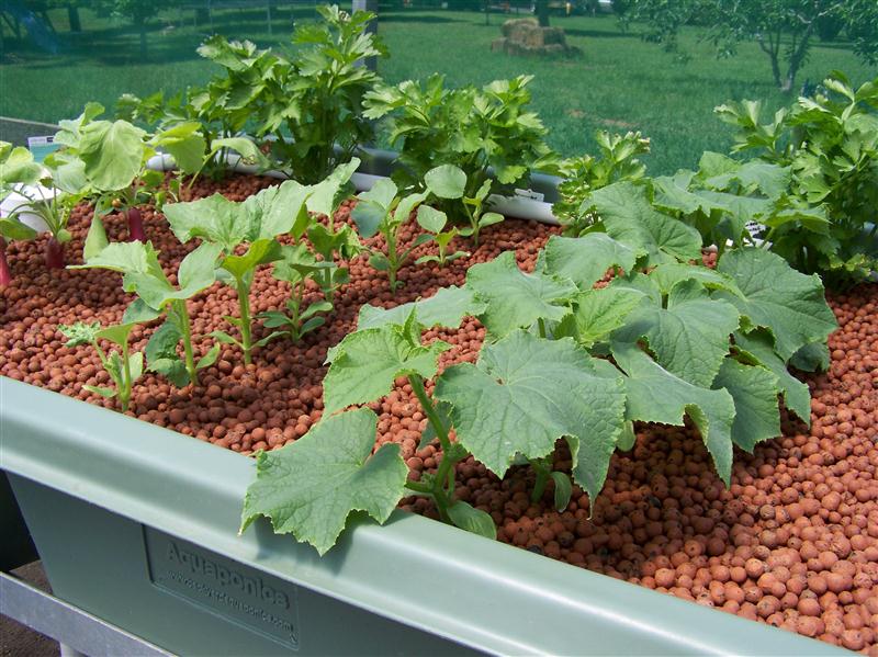 100_5604 (Custom).JPG