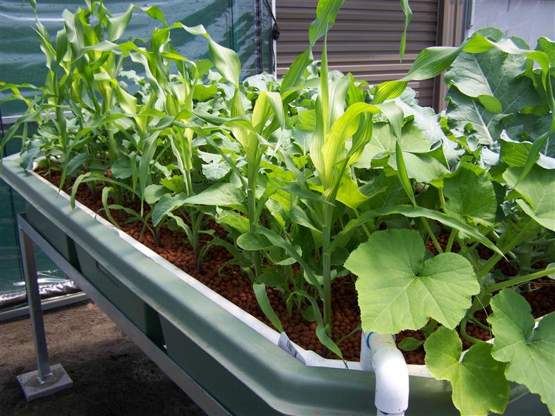 100_5608 (Custom).JPG