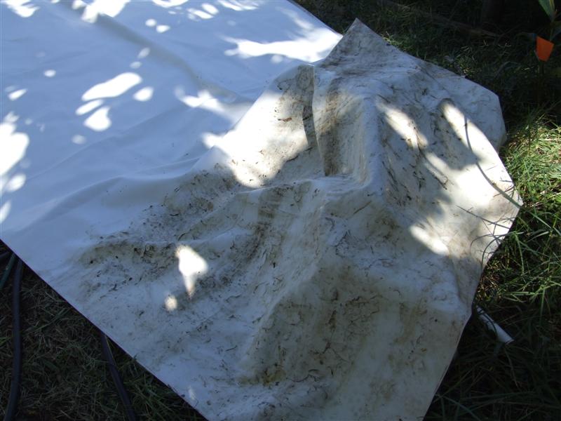 supposedly new liner (Medium).JPG