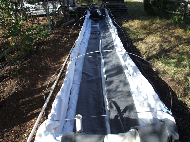 folded like kleenex (Medium).JPG