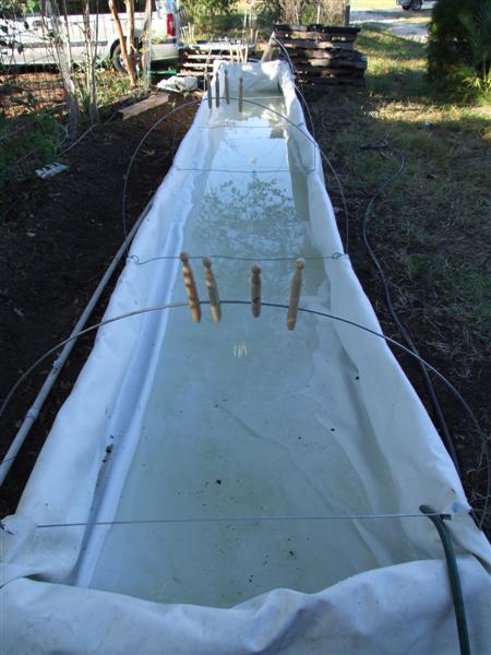 Strong smell this new liner (Medium).JPG