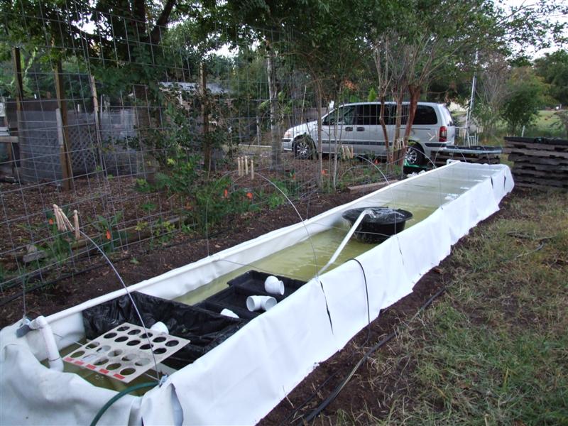 cover and aeration (Medium).JPG