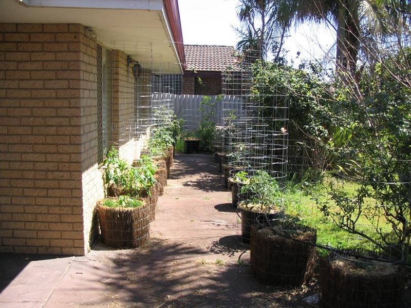 Picture1 041 (Medium).jpg