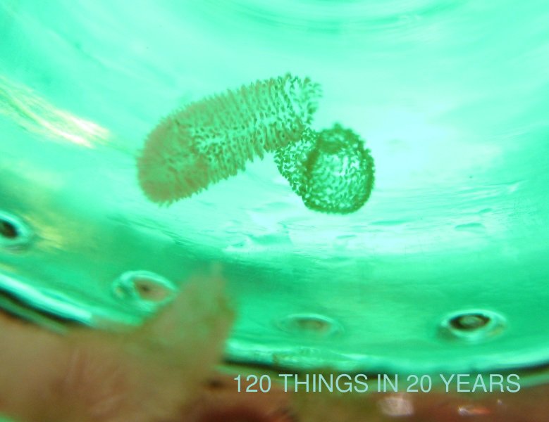 120 Things in 20 years - Aquaponics A cluster of beasties.jpg