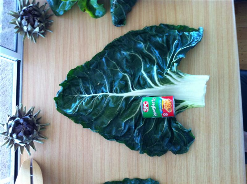 IMG_0013 (Medium).jpg