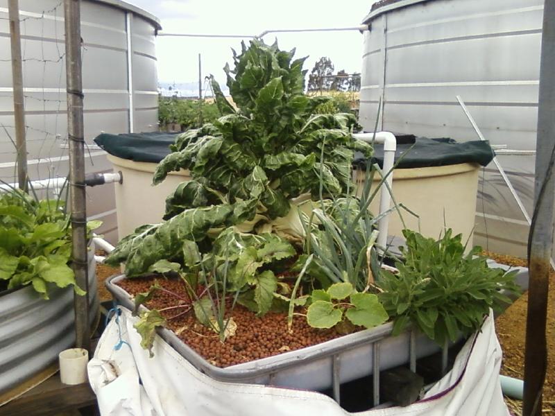 Photo0062 (Medium).jpg