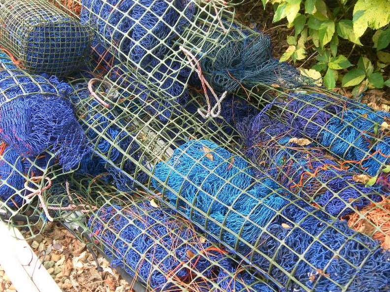 Fish Netting.JPG