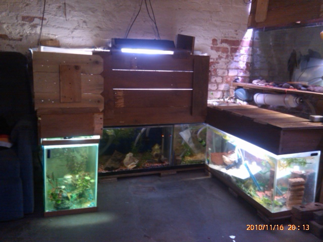 120gal full setup.jpg