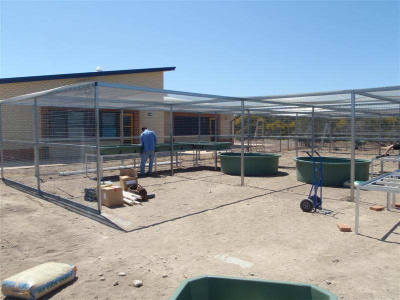 PA060526 (Medium).JPG