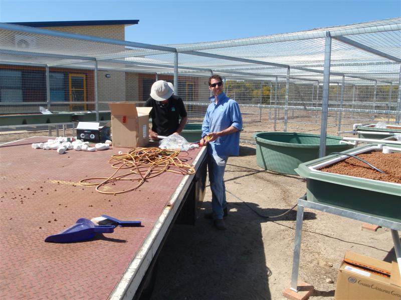 PA060528 (Medium).JPG