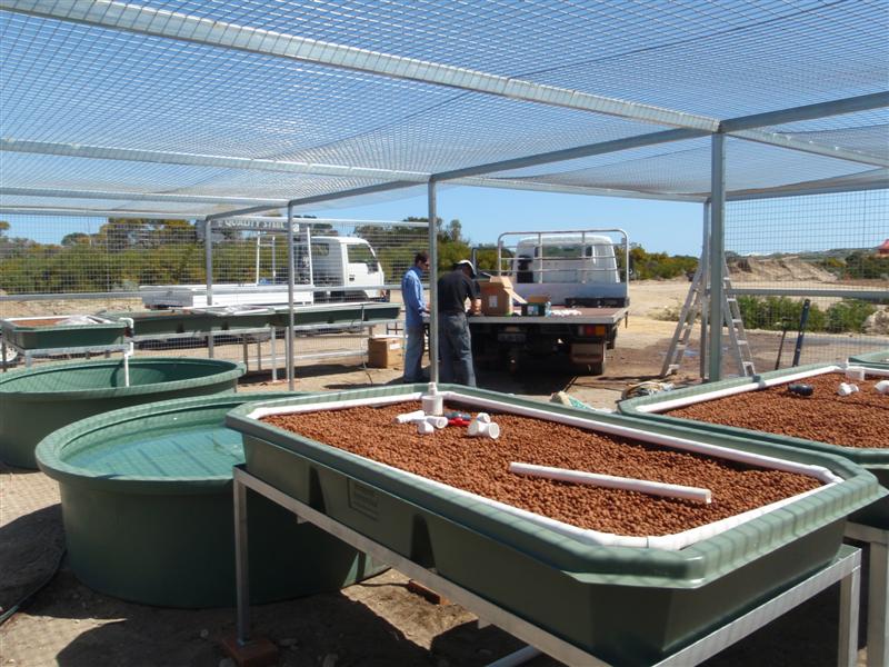 PA060529 (Medium).JPG