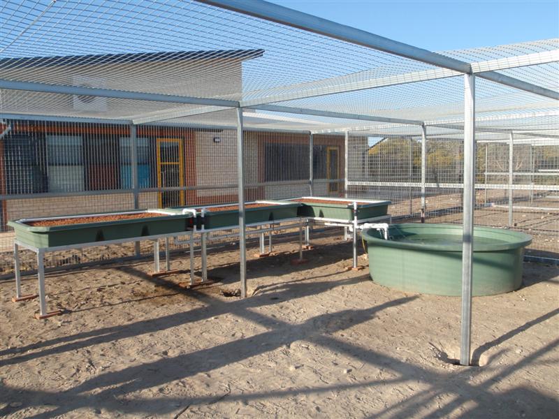 PA060537 (Medium).JPG