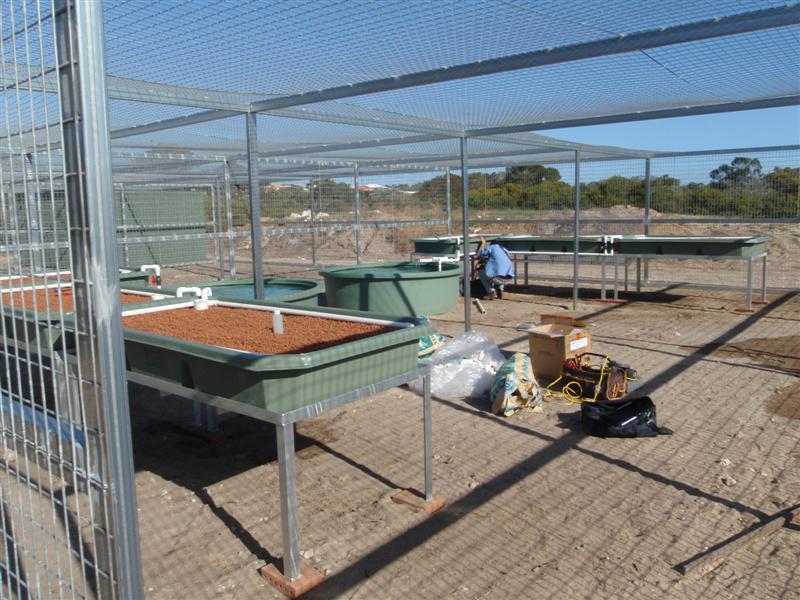 PA060535 (Medium).JPG