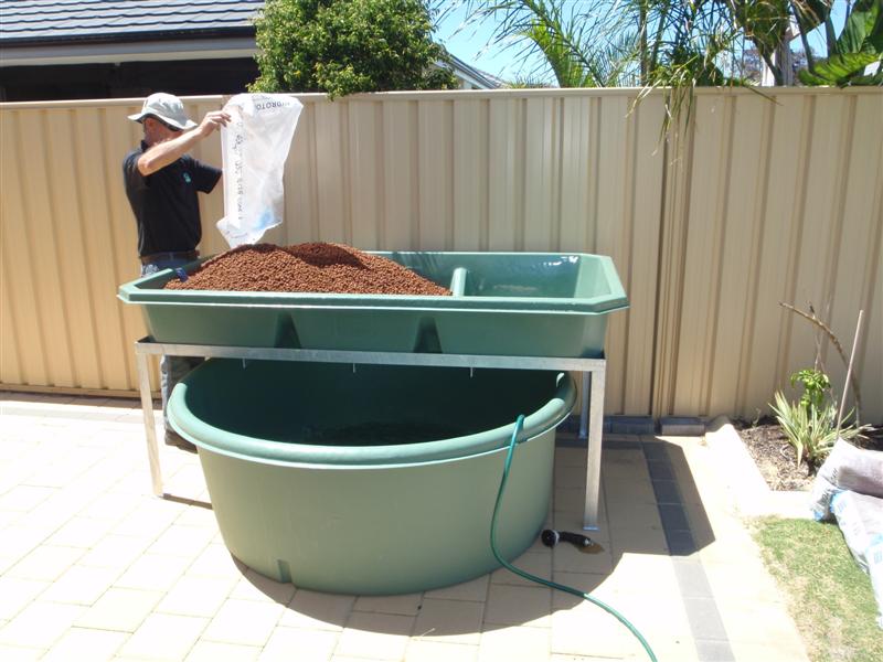 PB150574 (Medium).JPG