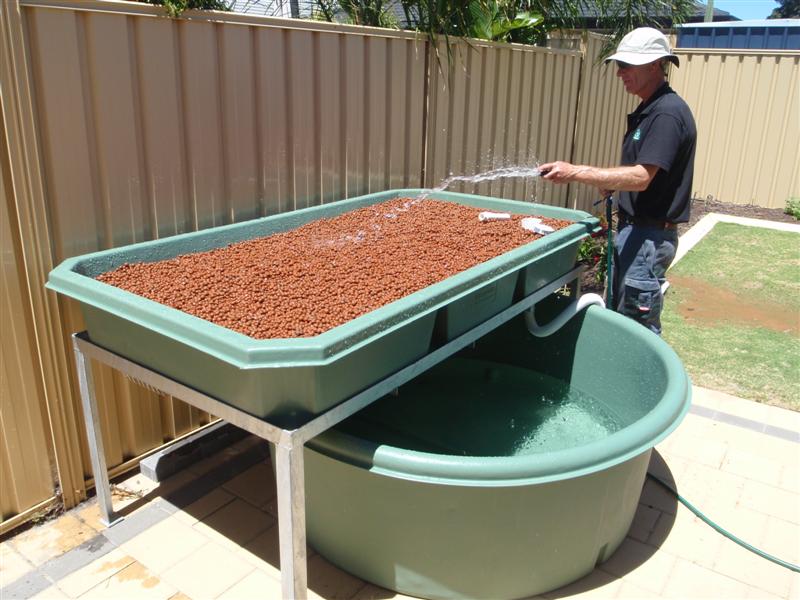 PB150577 (Medium).JPG