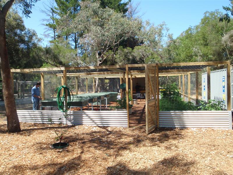 PA250539 (Medium).JPG