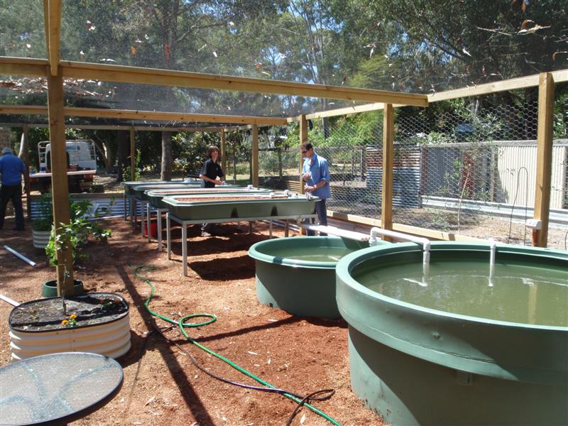 PA250548 (Medium).JPG