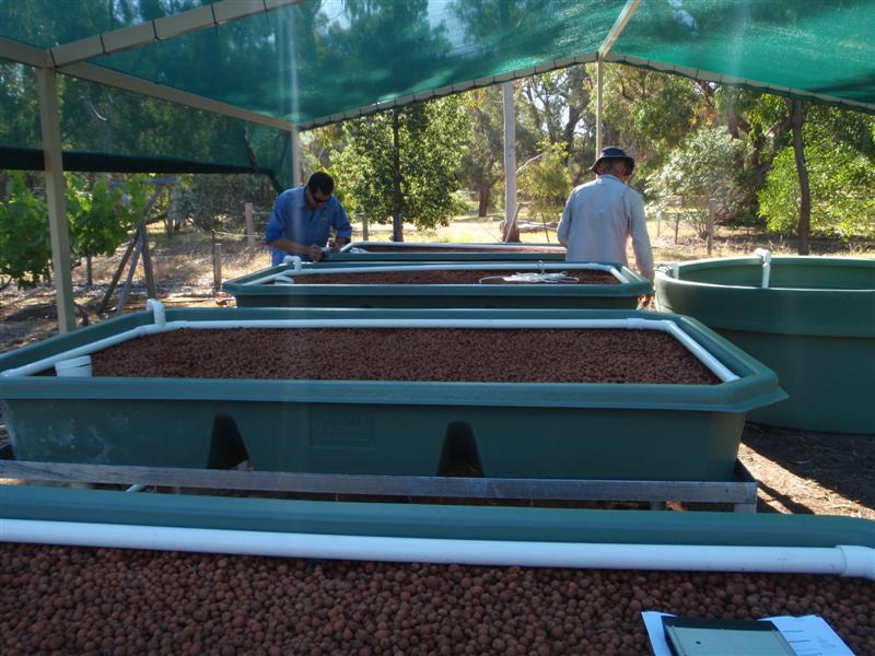 PA260566 (Medium).JPG