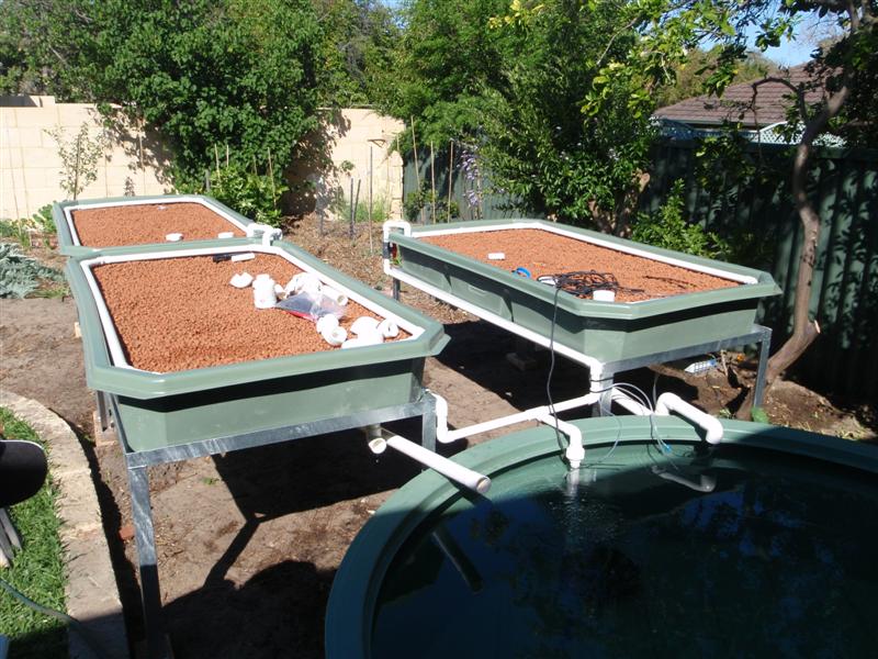 P9220510 (Medium).JPG